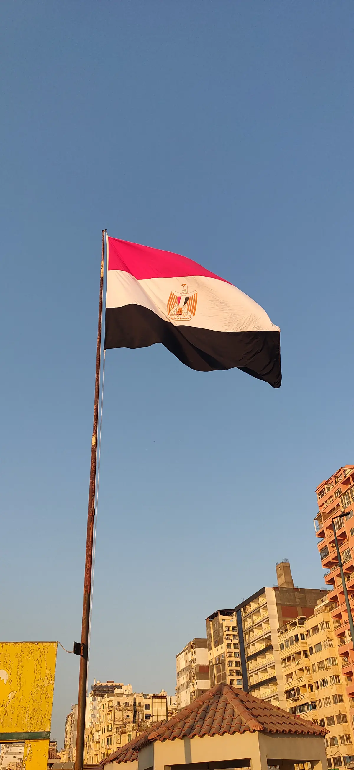 علم مصر على سارية أمام مباني الإسكندرية